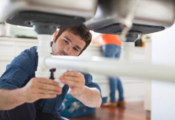 Best Plumbing Inspection Services  in Lake Tansi, TN