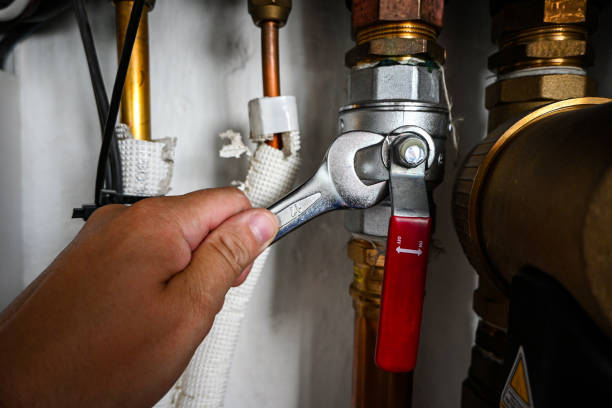 Best Emergency Plumber  in Lake Tansi, TN